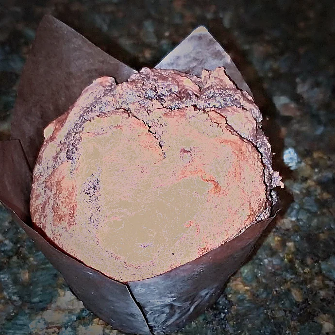 A Willow Bakery chocolate muffin in a tulip case